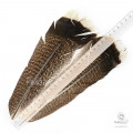 Перья Индюка Wapsi Mottled White Tipped Turkey Tail (Grade 2)
