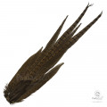 Хвост Охотничьего Фазана Hareline Ringneck Pheasant Tail Clump
