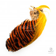 Скальп Золотого Фазана Joyfish Golden Pheasant Complete Head